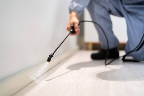 Licensed Pest Control service in New London, OH - Show Me Pest Control