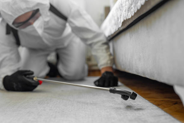 Professional Ant Control technician working in New London, OH