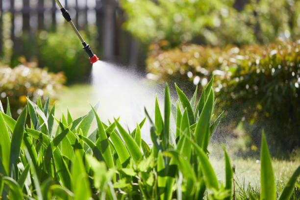 24/7 Emergency Ant Control experts in New London, OH