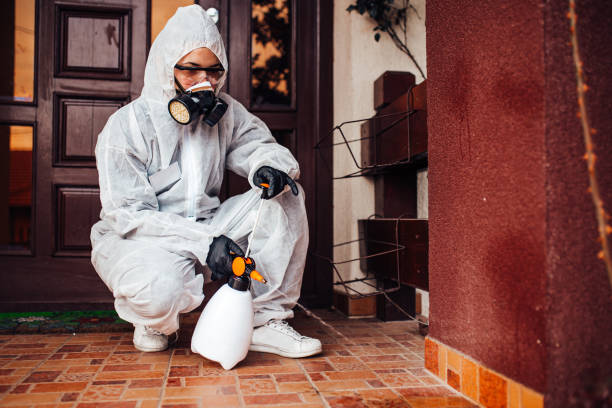 Reliable Ant Control contractor in New London, OH by Show Me Pest Control