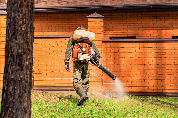Top rated local Ant Control specialists in New London, OH